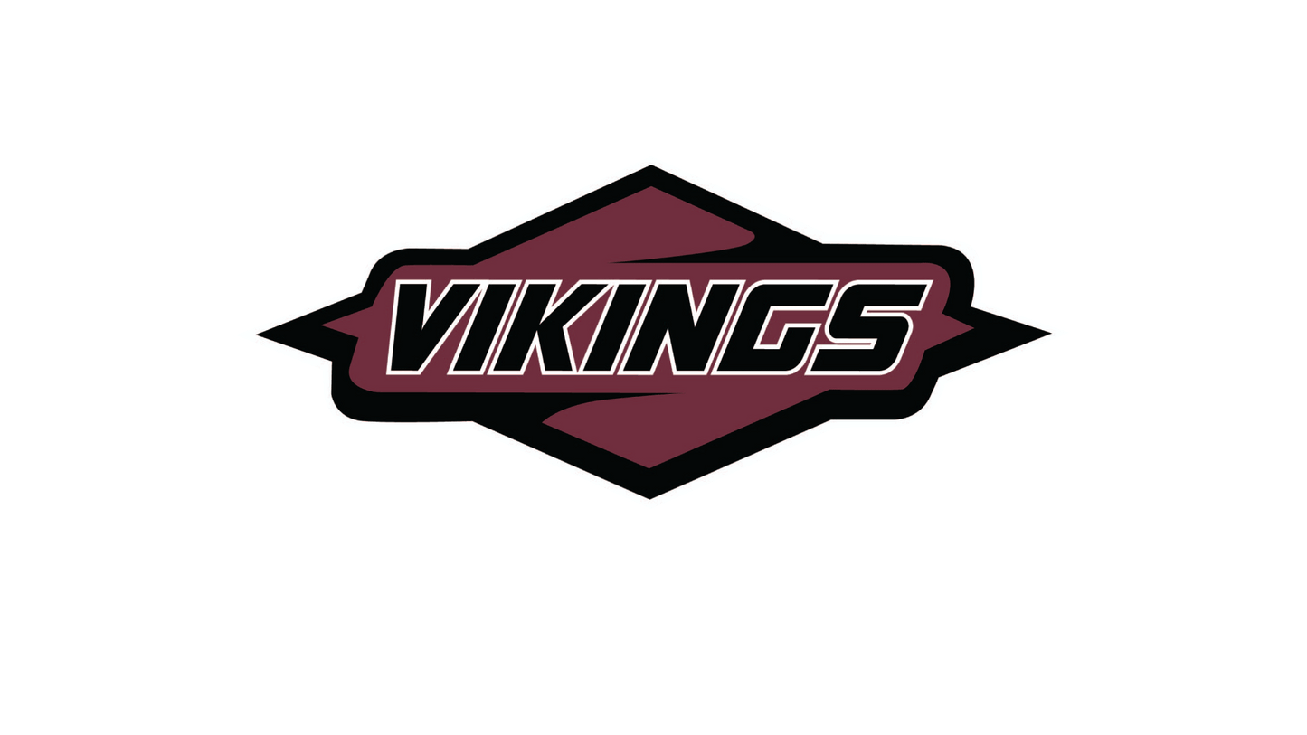 HOLMEN VIKINGS DECAL