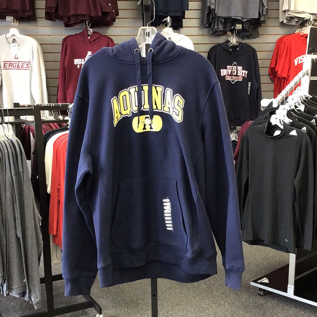 AQUINAS DISC ARCH HOOD 21