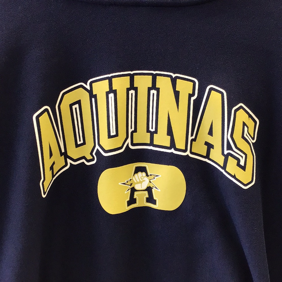 AQUINAS DISC ARCH HOOD 21