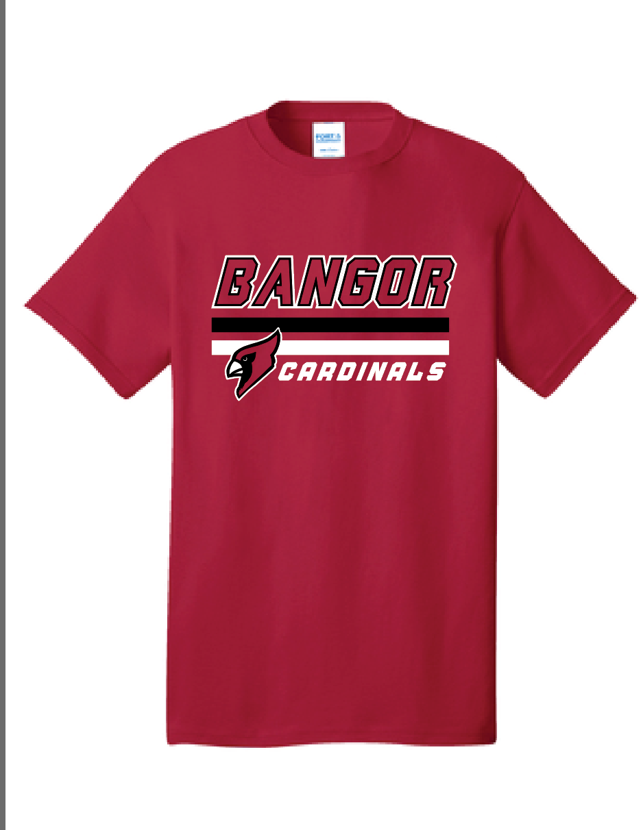 Bangor Youth Tee