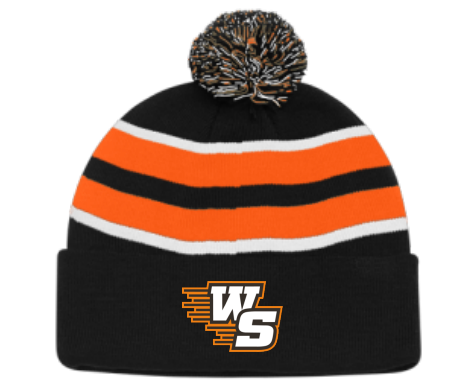 West Salem Stripe Beanie