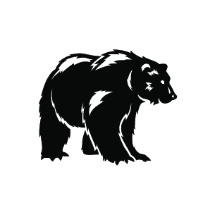 Bear Sticker