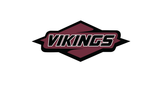 HOLMEN VIKINGS DECAL